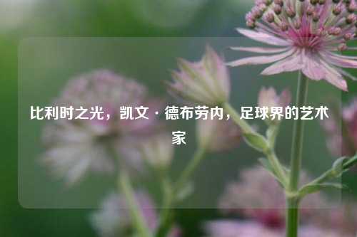 比利时之光，凯文·德布劳内，足球界的艺术家